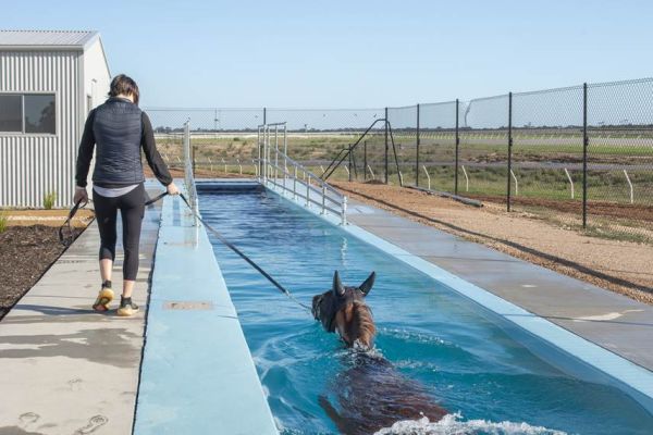 Equine Pool Murray Bridge